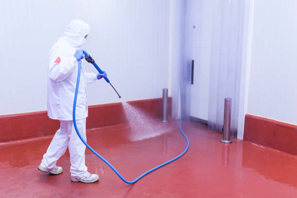 Best Solar Panel Cleaning  in Lakeview, GA