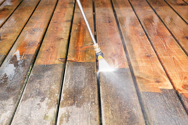 Best Fence Cleaning  in Lakeview, GA